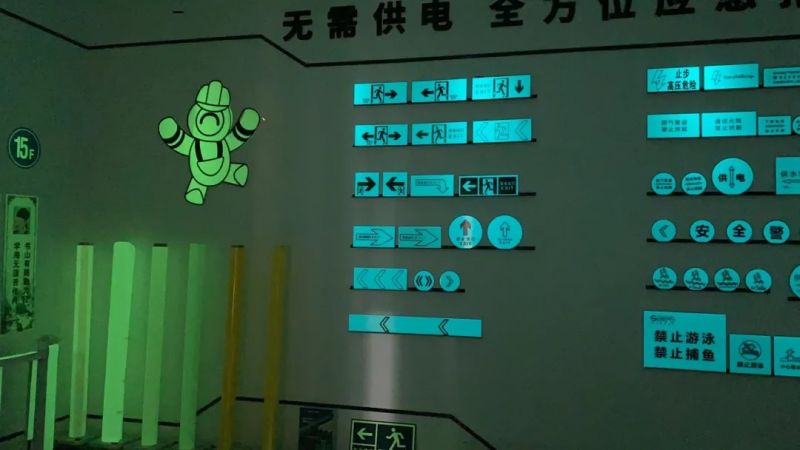 黑夜之礼|尊龙时凯-人生就是拼搏z06蓄光膜，，，，，为夜误点亮